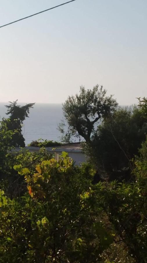 Mullaj Guest House Vlorë Eksteriør billede