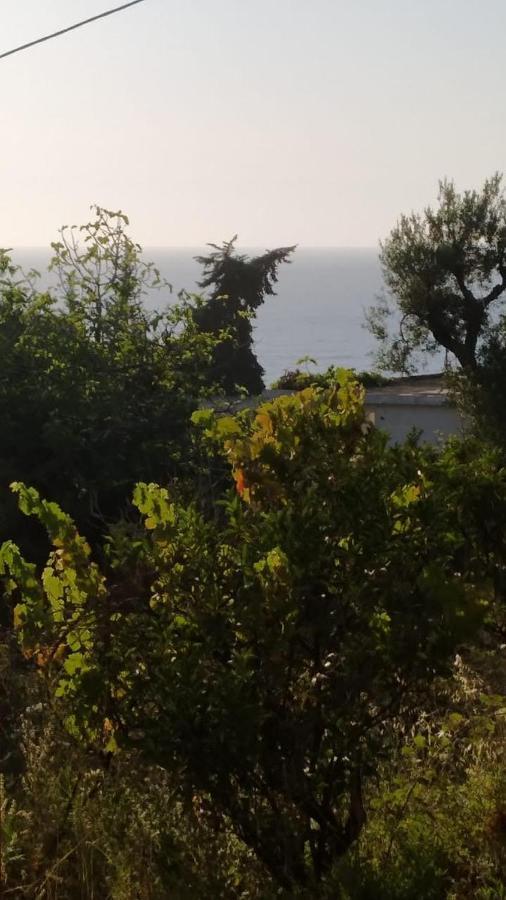 Mullaj Guest House Vlorë Eksteriør billede